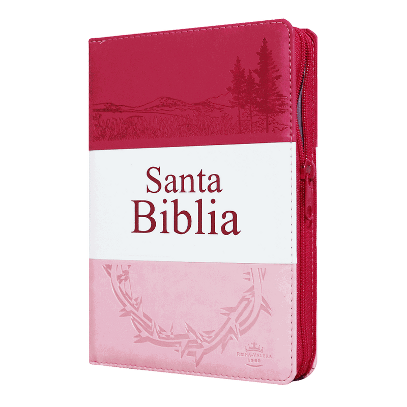 Biblia Reina Valera 1960 Letra Grande Cierre Indice Concordancia Tapa Pu Tritono Rosa