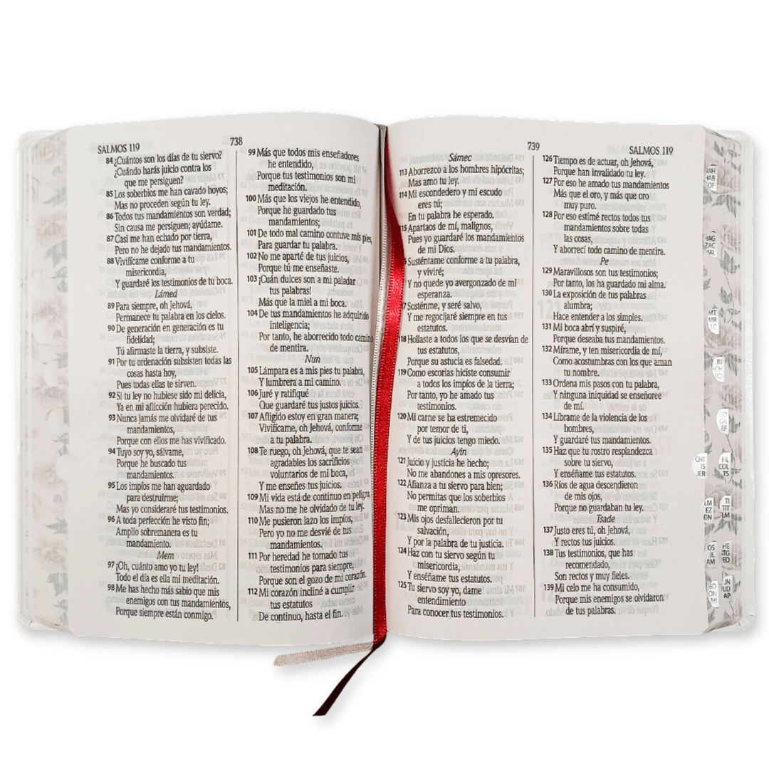 Biblia Letra Grande índice Blanca Flores Reina Valera 1960