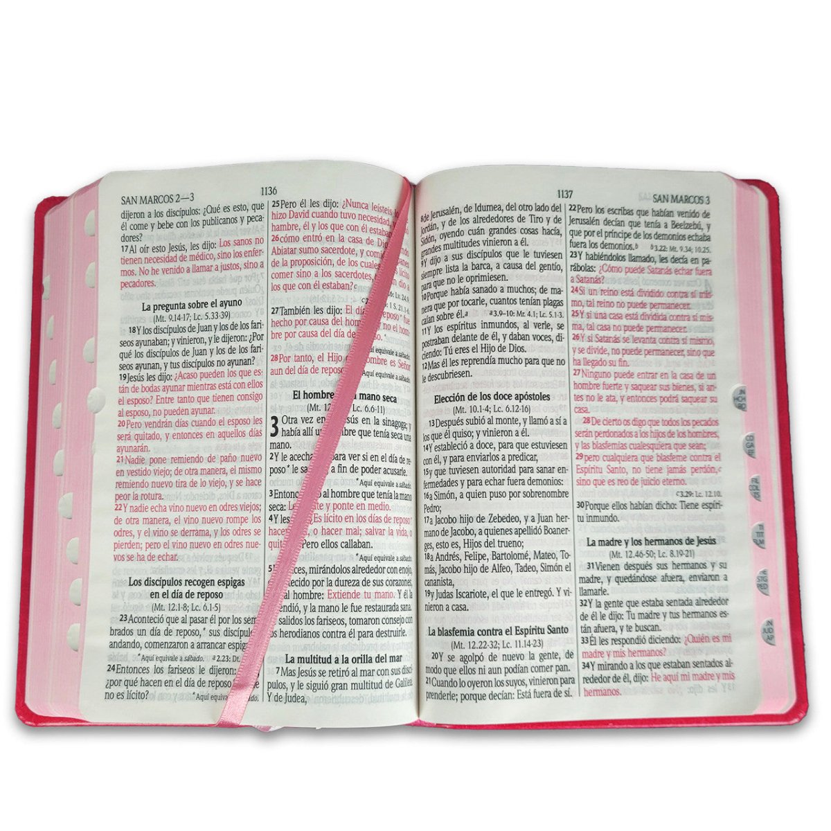 Biblia Reina Valera 1960 · Letra Grande · Concordancia corta · Tapa sintética rosa con índice