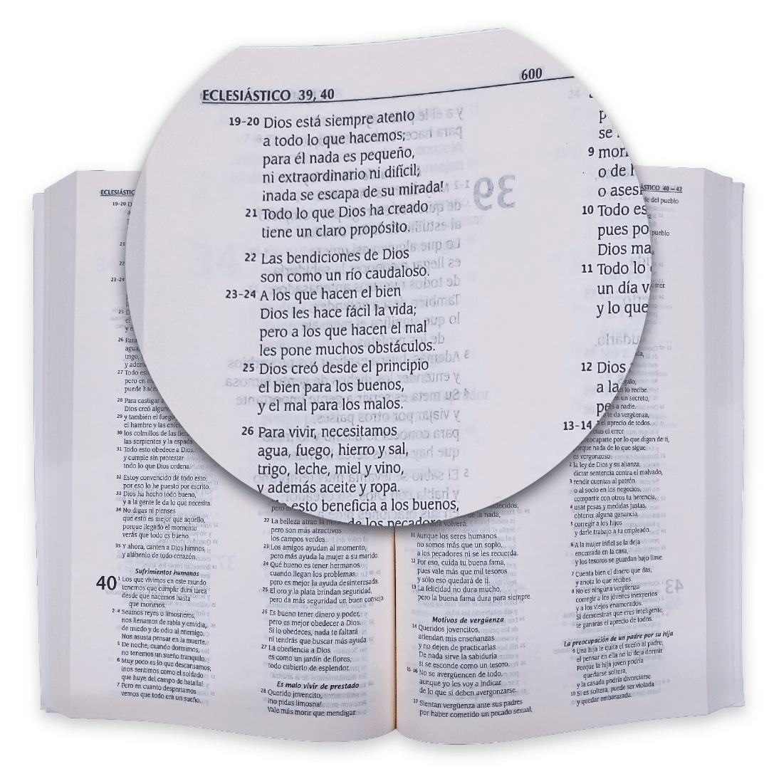 Biblia Traducción Lenguaje Actual Deuterocanónicos Ilust Eco