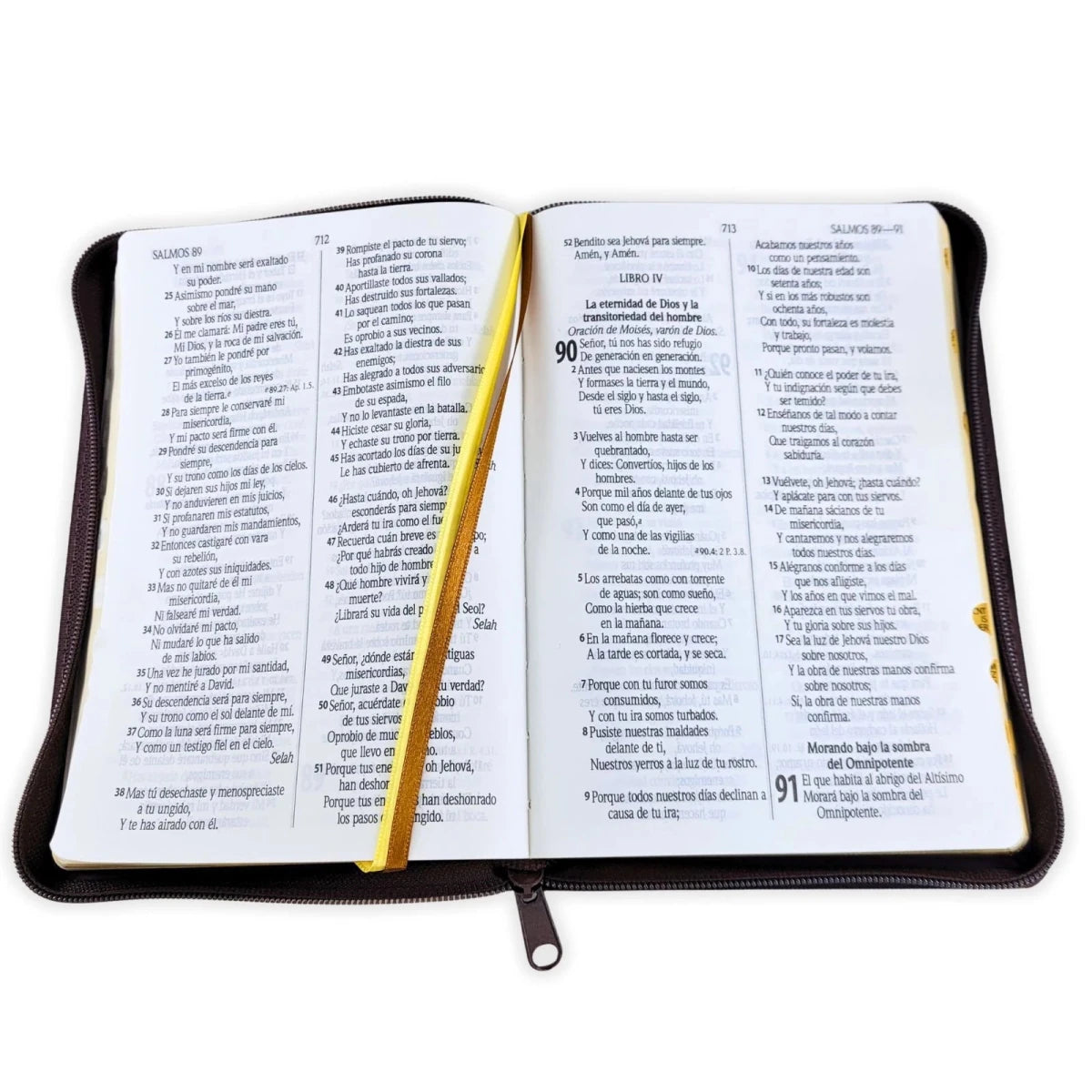 Biblia Reina Valera 1960 – Tapa Imitación Piel León Marrón, con Cierre, Concordancia, Palabras de Jesús en Rojo, con Índice, 14 x 22 cm, Letra 12 Puntos