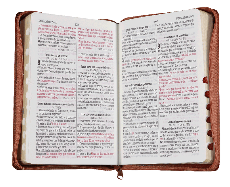 Biblia Reina Valera 1960 Letra Grande Cierre Concordancia PJR Indice Tapa Pu Negro marrón
