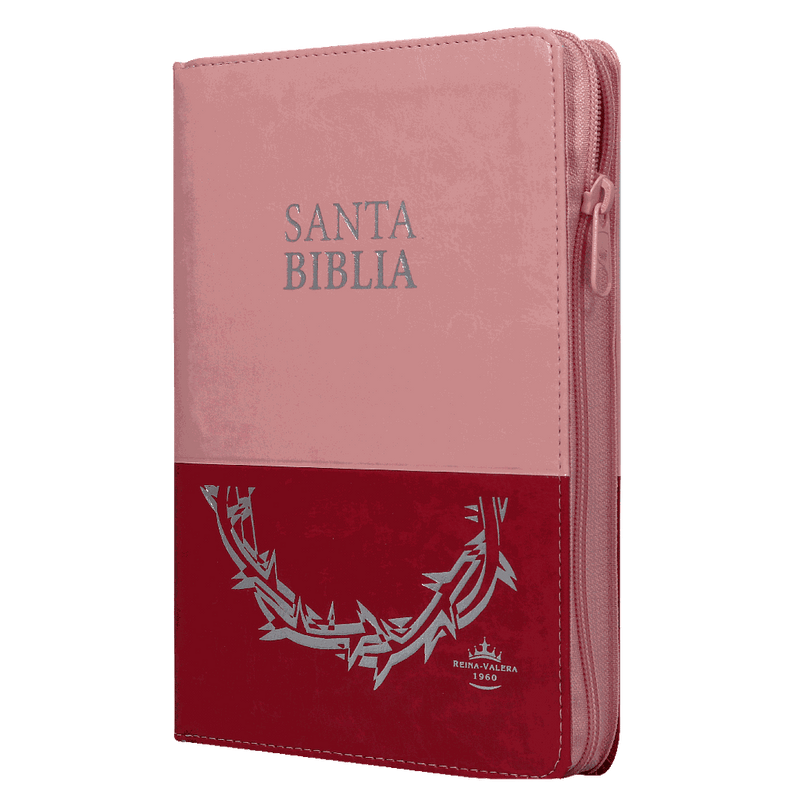 Biblia Reina Valera 1960 Letra Grande Pjr Cierre Dos Tonos