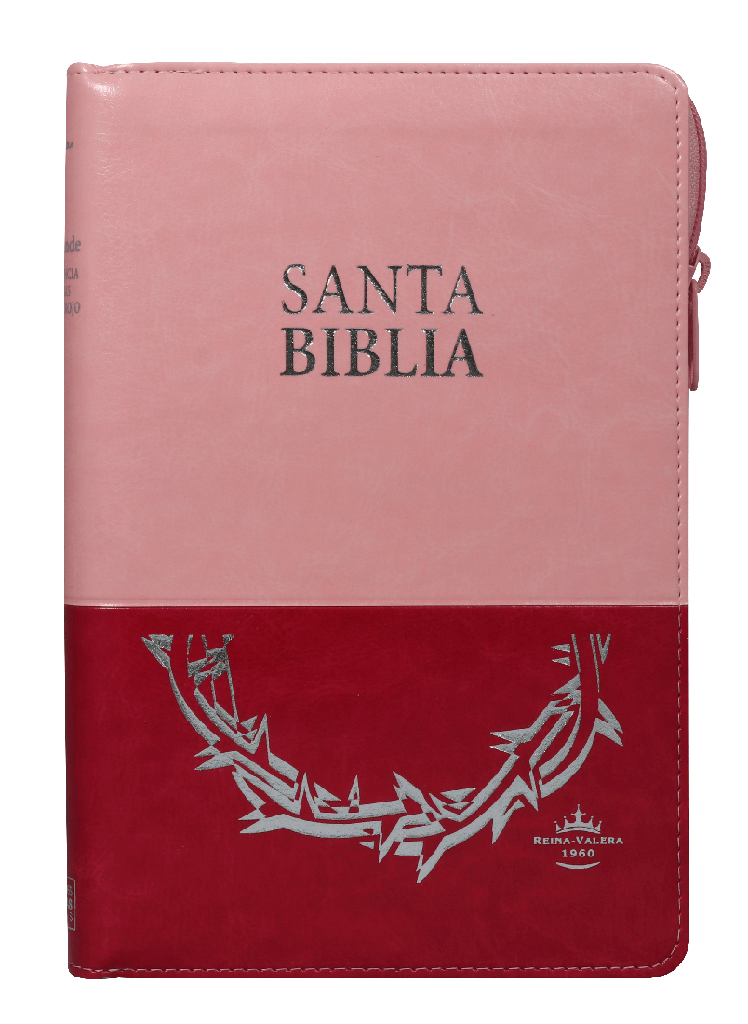 Biblia Reina Valera 1960 Letra Grande Pjr Cierre Dos Tonos