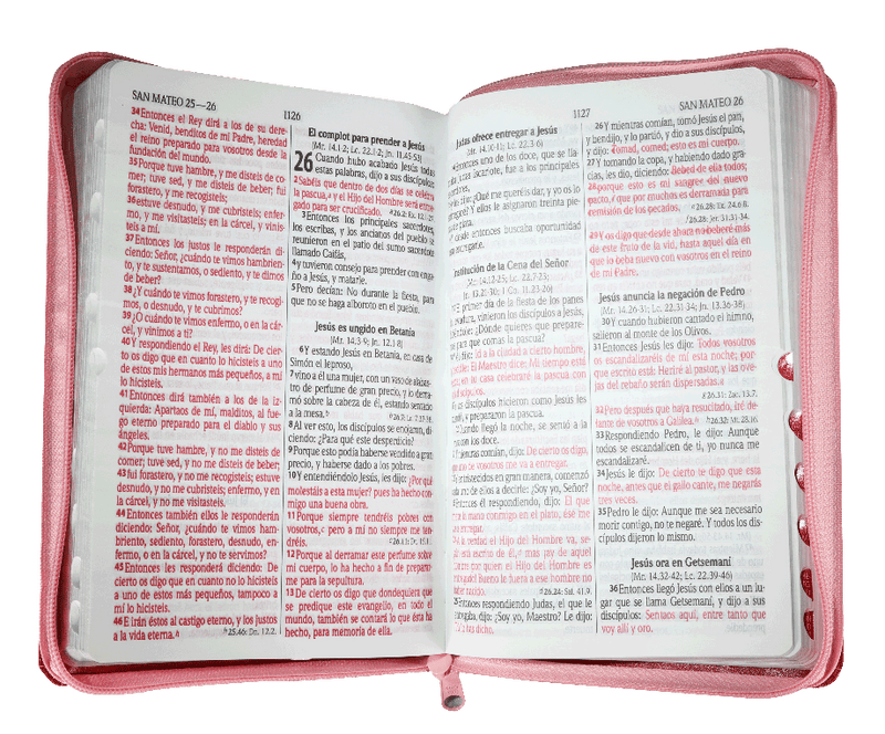 Biblia Reina Valera 1960 Letra Grande Pjr Cierre Dos Tonos