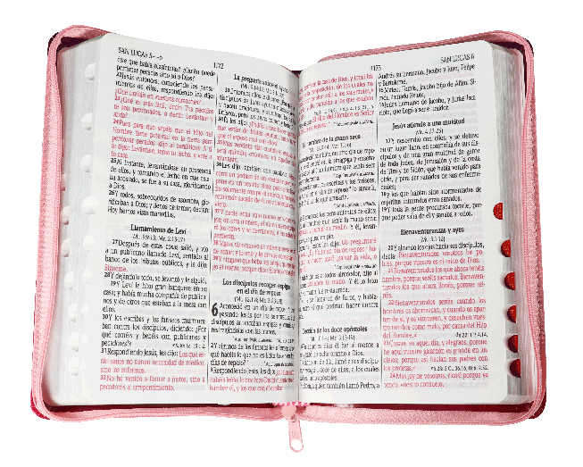 Biblia Reina Valera 1960 Letra Grande Pjr Cierre Tritono Rosa