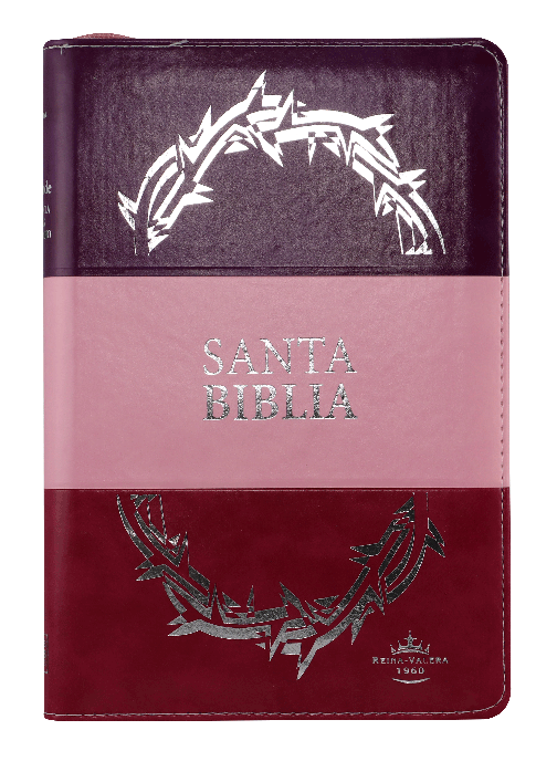 Biblia Reina Valera 1960 Letra Grande Pjr Cierre Tritono Rosa