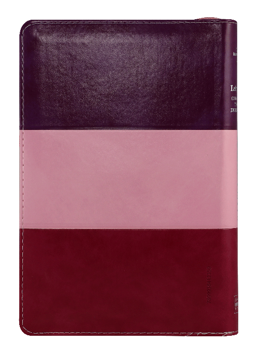 Biblia Reina Valera 1960 Letra Grande Pjr Cierre Tritono Rosa