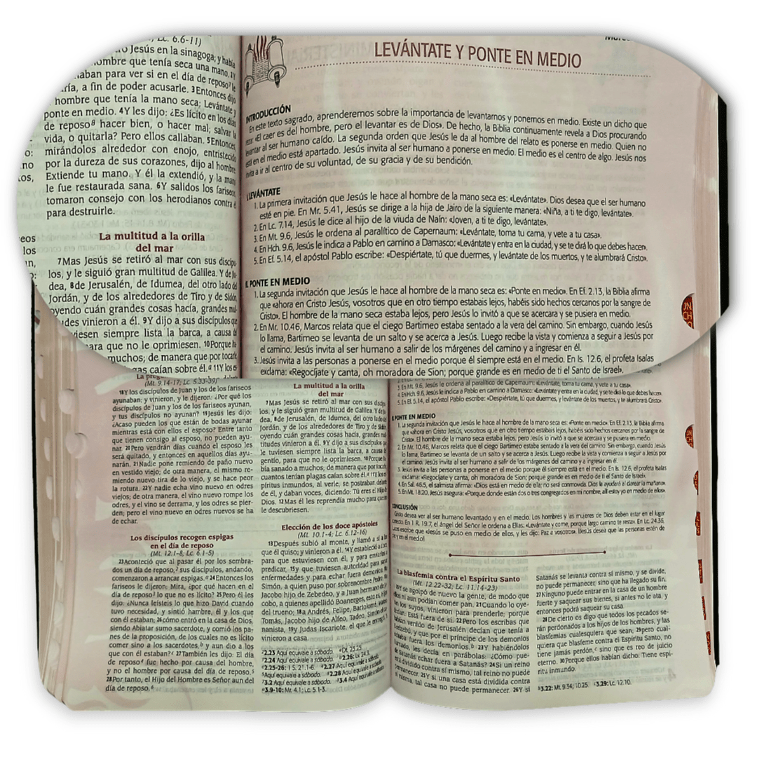 Biblia De Estudio Para La Predicación De Avivamiento Piel