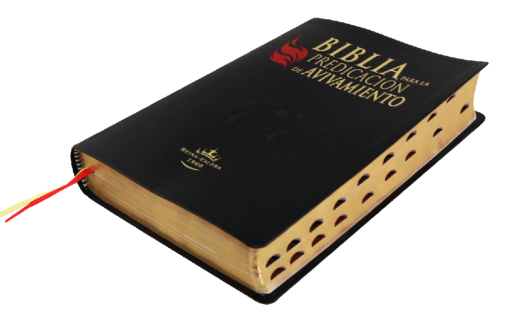 Biblia De Estudio Para La Predicación De Avivamiento Piel