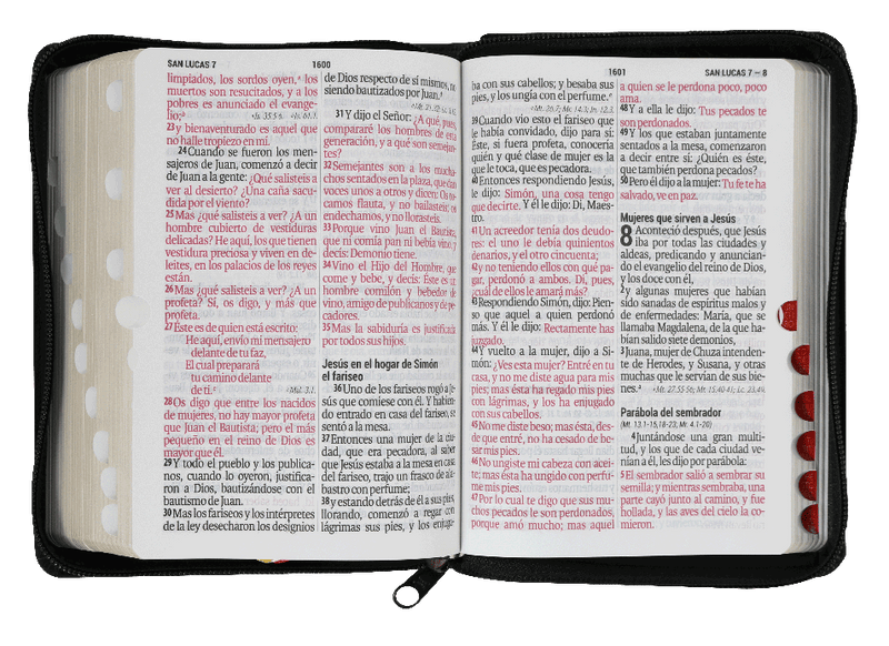 Biblia Reina Valera 1960 Letra Mayor 11 Puntos Cierre Negro