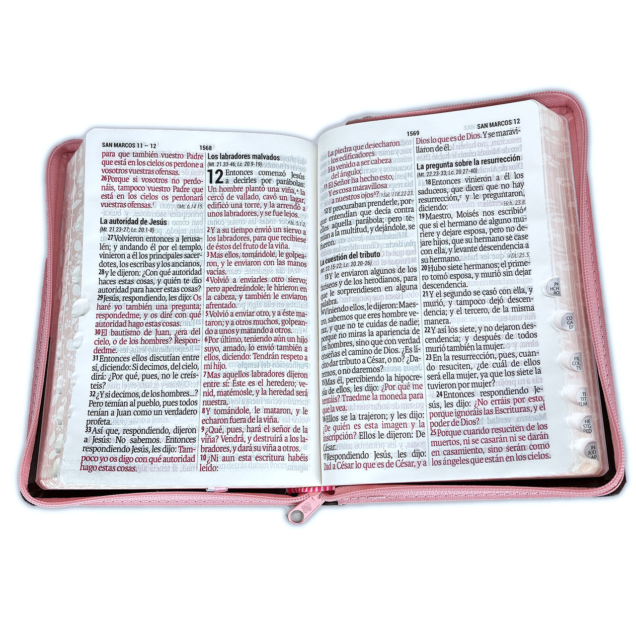 Biblia Reina Valera 1960 Letra grande 14 puntos Concordancia Cierre Indice PJR tapa Pu Rosa Marrón