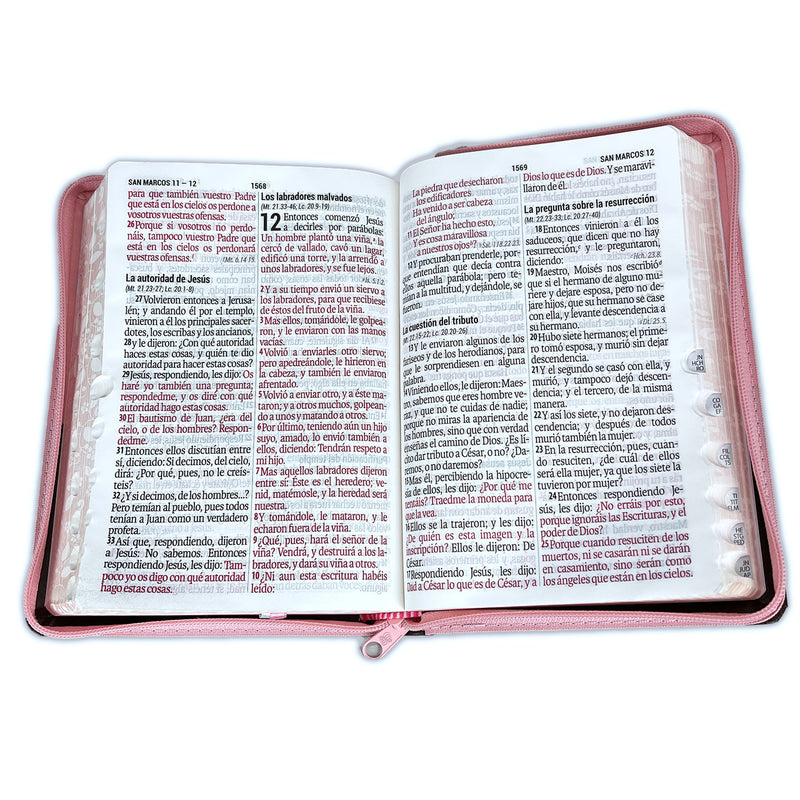 Biblia Reina Valera 1960 Letra Grande Pjr Índice Cierre Rosa Marrón