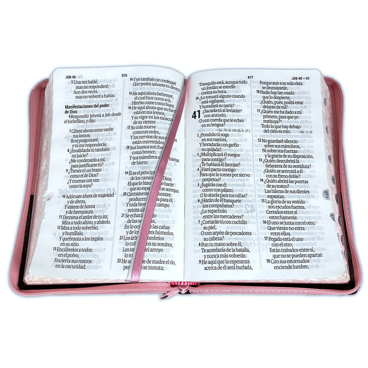 Biblia Reina Valera 1960 Letra grande 14 puntos Concordancia Cierre Indice PJR tapa Pu Rosa Marrón