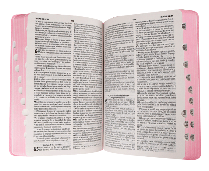 Biblia Reina Valera 1960 Letra Estandar Concordancia Indice Tapa Pu Rosa