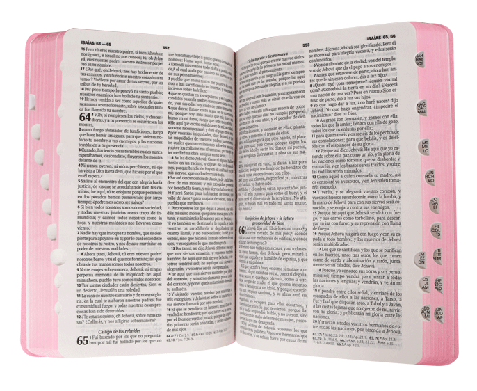 Biblia Reina Valera 1960 Letra Estandar Concordancia Indice Tapa Pu Rosa