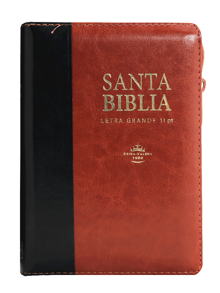 Biblia Reina Valera 1960 Letra Mayor PJR Cierre índice