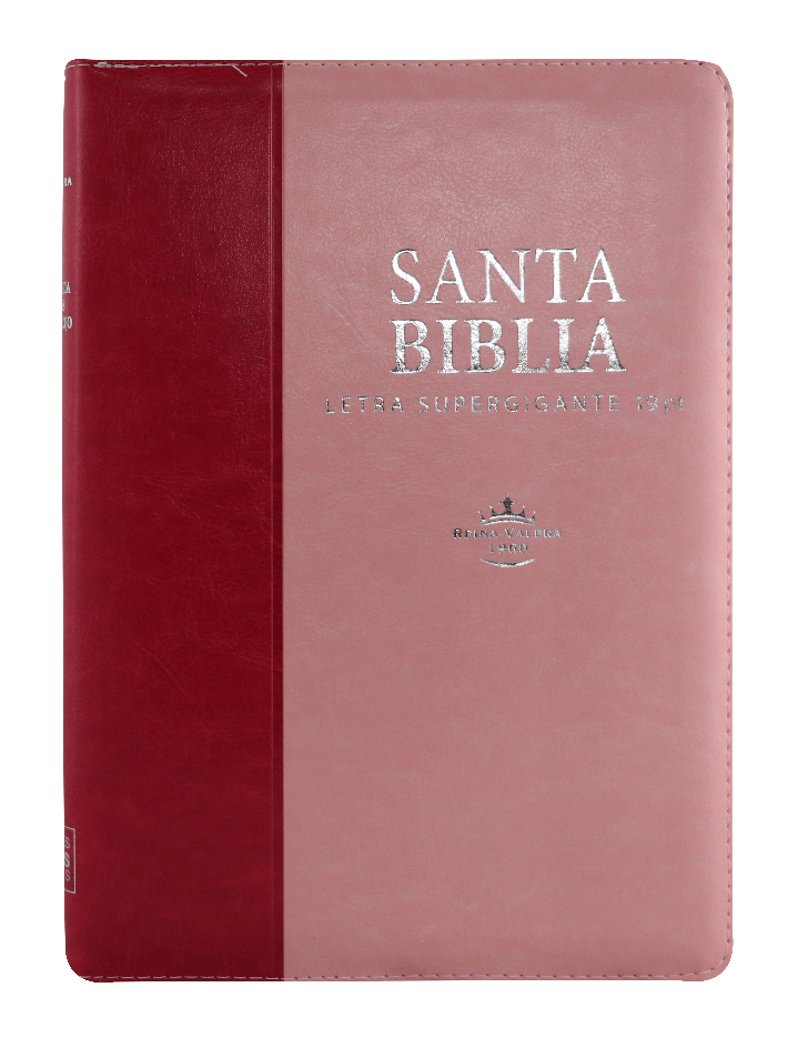 Biblia Reina Valera 1960 Super Gigante 19 puntos PJR Rosa