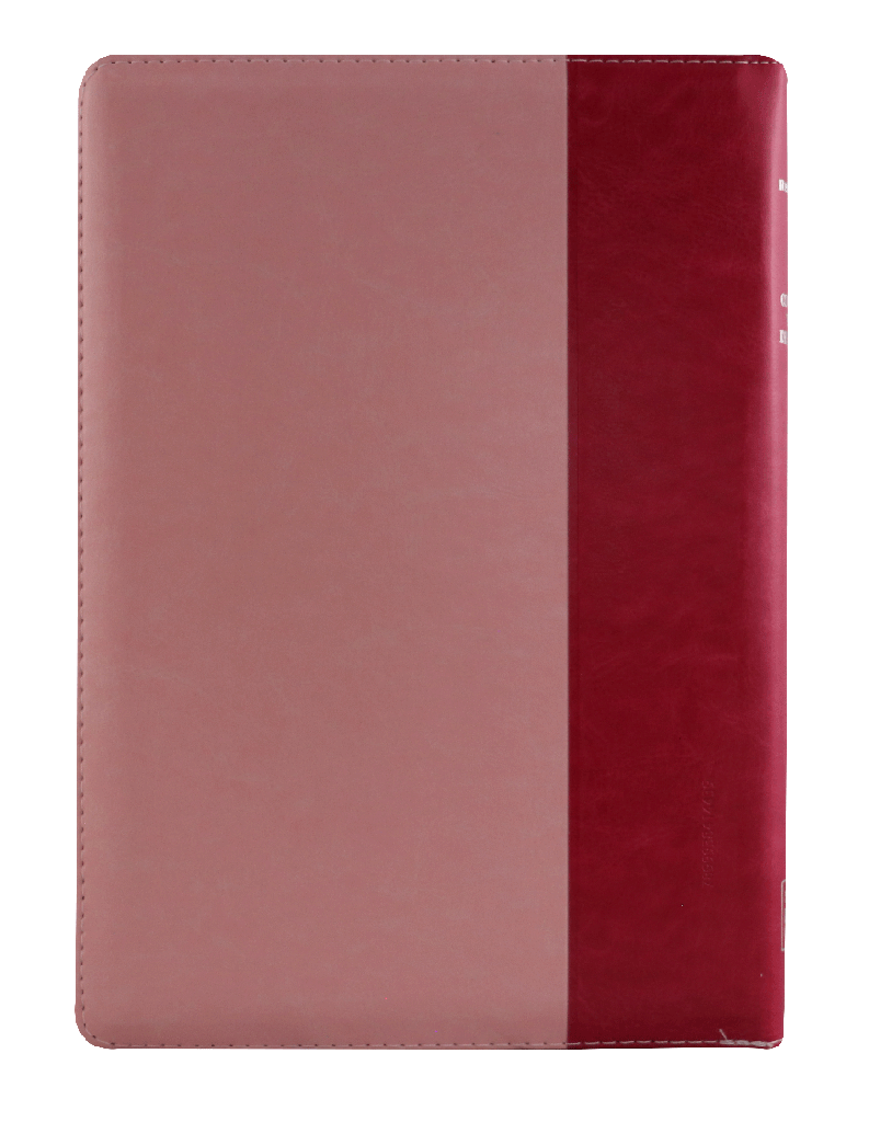 Biblia Reina Valera 1960 Super Gigante 19 puntos PJR Rosa