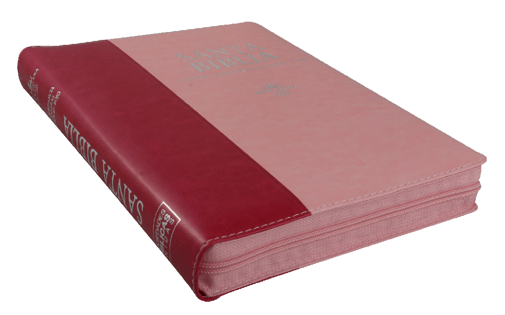 Biblia Reina Valera 1960 Super Gigante 19 puntos PJR Rosa