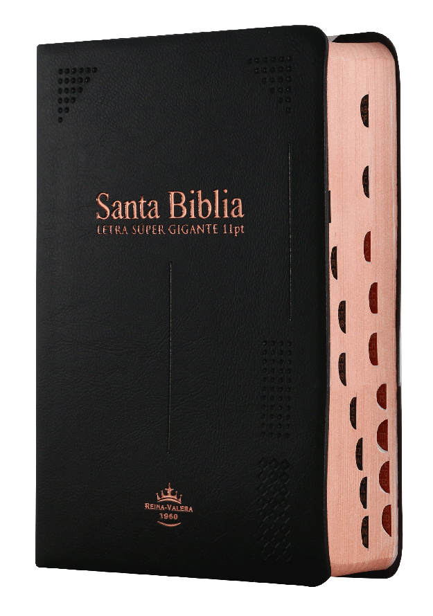 Biblia Reina Valera 1960 Concordancia Indice Letra Mayor