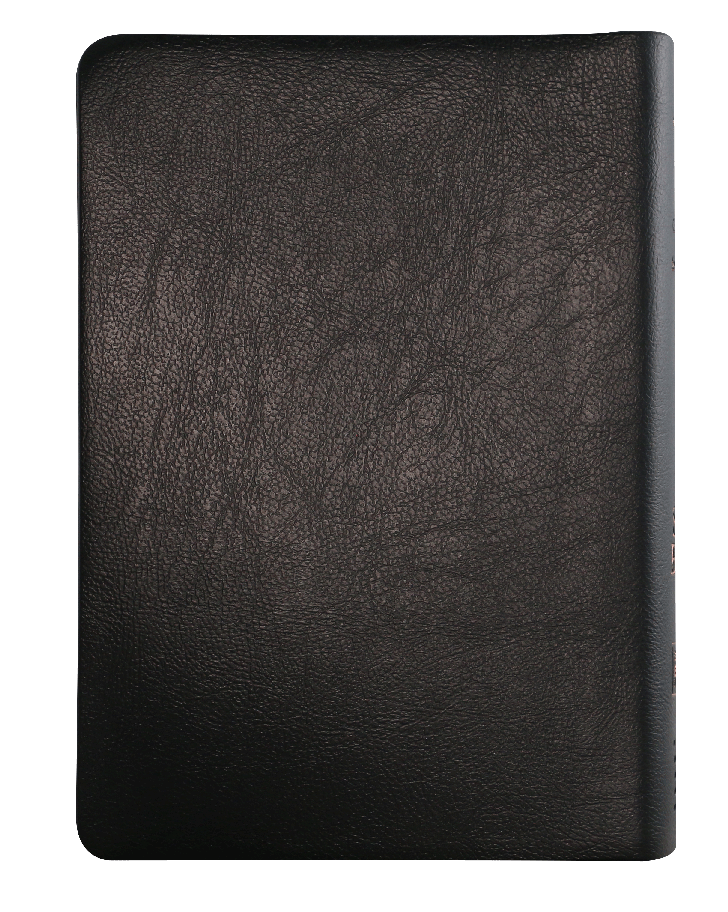 Biblia Reina Valera 1960 Concordancia Indice Letra Mayor