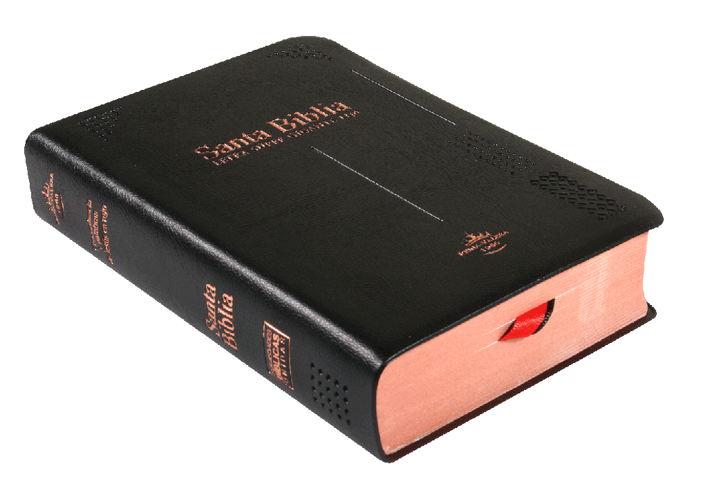 Biblia Reina Valera 1960 Concordancia Indice Letra Mayor