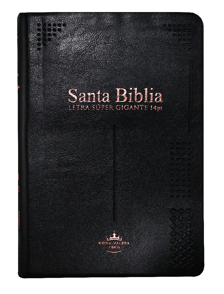 Biblia Reina Valera 1960 Letra Gigante Negro 14 Puntos