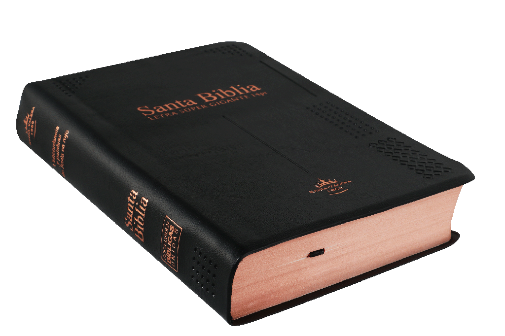 Biblia Reina Valera 1960 Letra Gigante Negro 14 Puntos