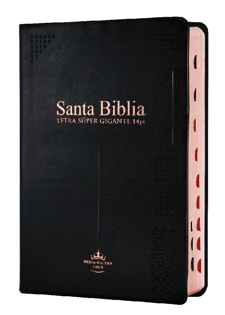 Biblia Reina Valera 1960 Letra Gigante Negro 14 Puntos