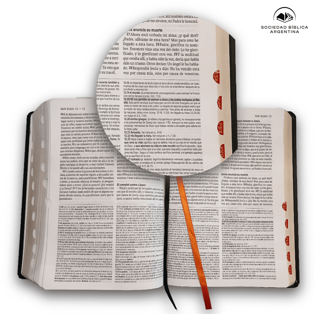 Biblia Reina Valera 1960 de Estudio Teologico Tapa Dura