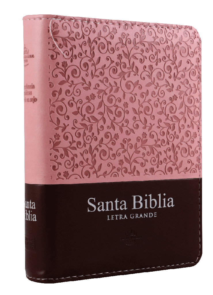 Biblia Reina Valera 1960 Letra Mediana 9 puntos Cierre Pjr Rosa Tamaño 10 x 14 cm