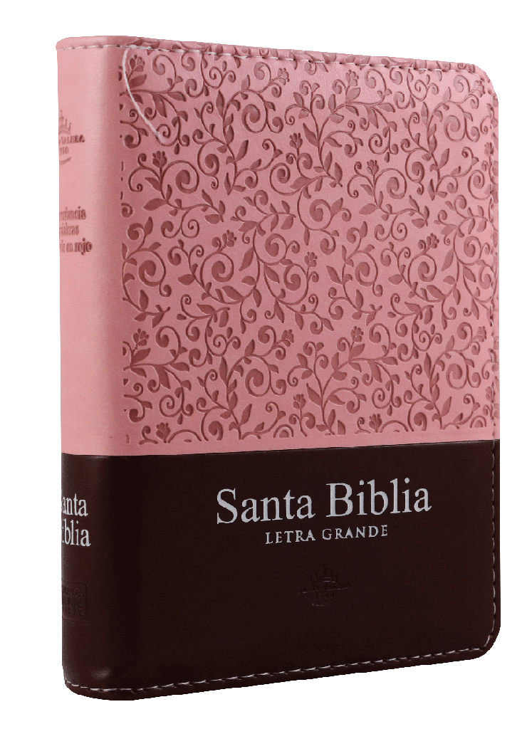 Biblia Reina Valera 1960 Letra Mediana 9 puntos Cierre Pjr Rosa Tamaño 10 x 14 cm