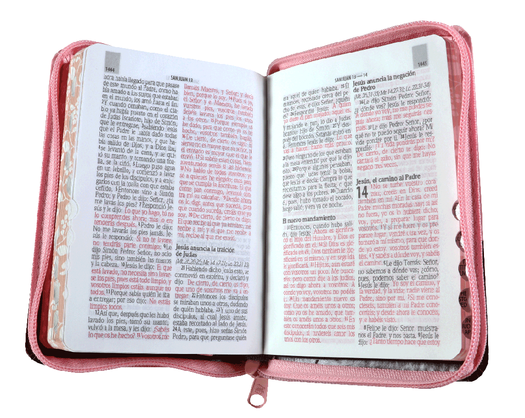 Biblia Reina Valera 1960 Letra Mediana 9 puntos Cierre Pjr Rosa Tamaño 10 x 14 cm