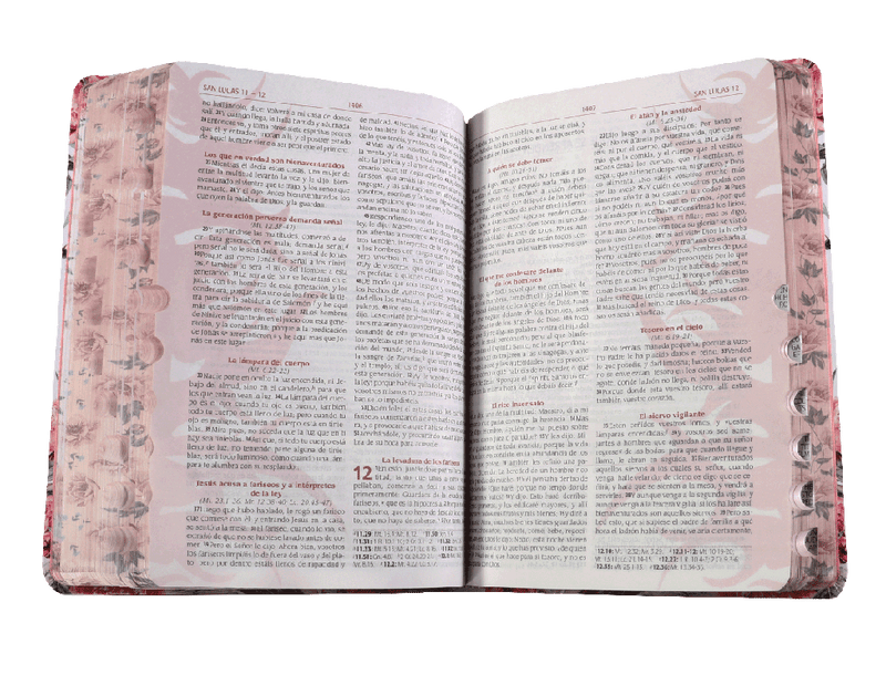 Biblia Reina Valera 1960 Letra Grande para la Predicación de Avivamiento Floreada