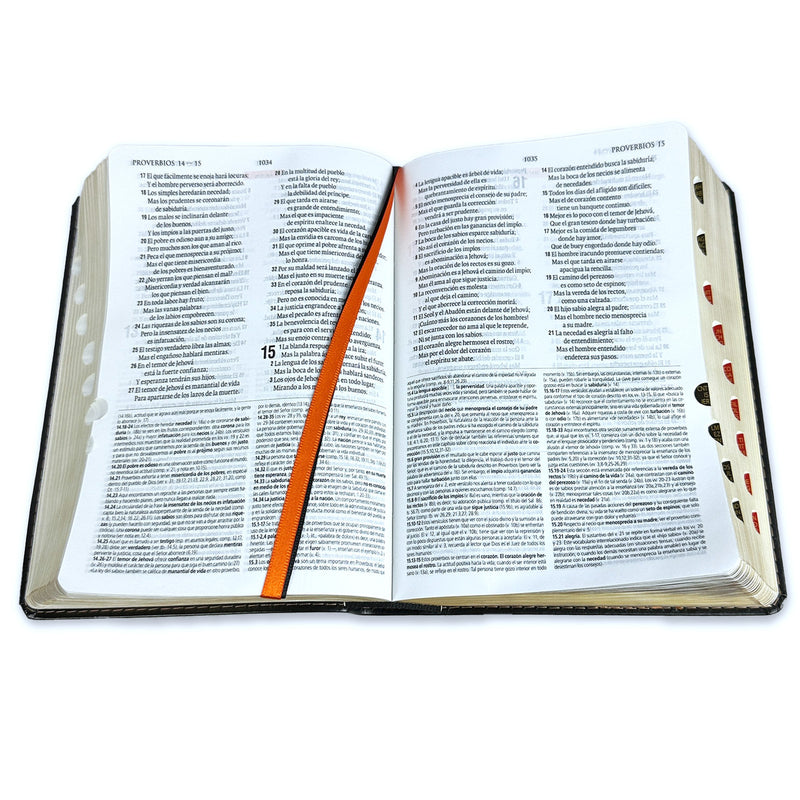 Biblia de Estudio Teologico Reina Valera 1960 Tamaño manual