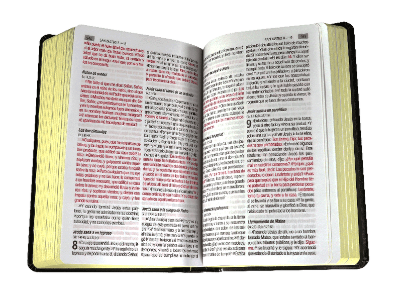 Biblia Reina Valera 1960 Letra Grande Tapa Dura Negra