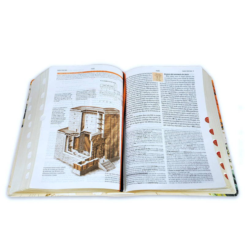 Biblia de Estudio Teológico Reina Valera 1960 Indice Flores