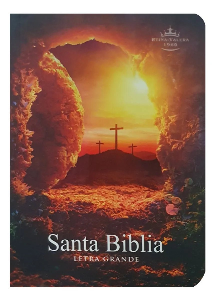 Biblia Reina Valera 1960 letra 9 puntos PJR tapa rústica colores Piedra