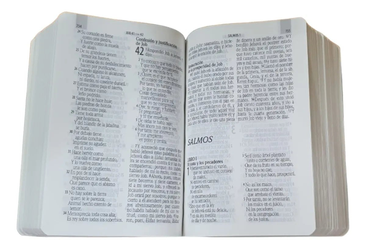 Biblia Reina Valera 1960 letra 9 puntos PJR tapa rústica colores Piedra