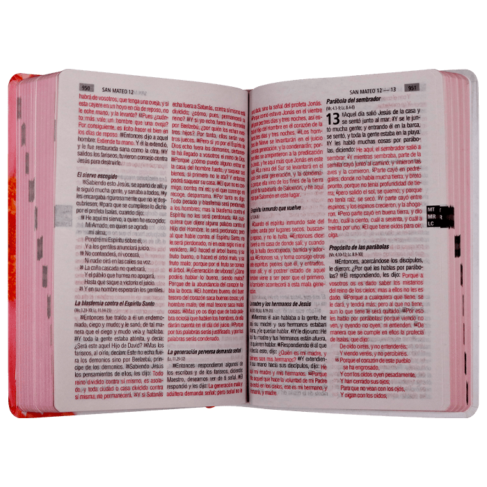 Biblia Reina Valera 1960 Letra Grande Petalos Rosas Flexible