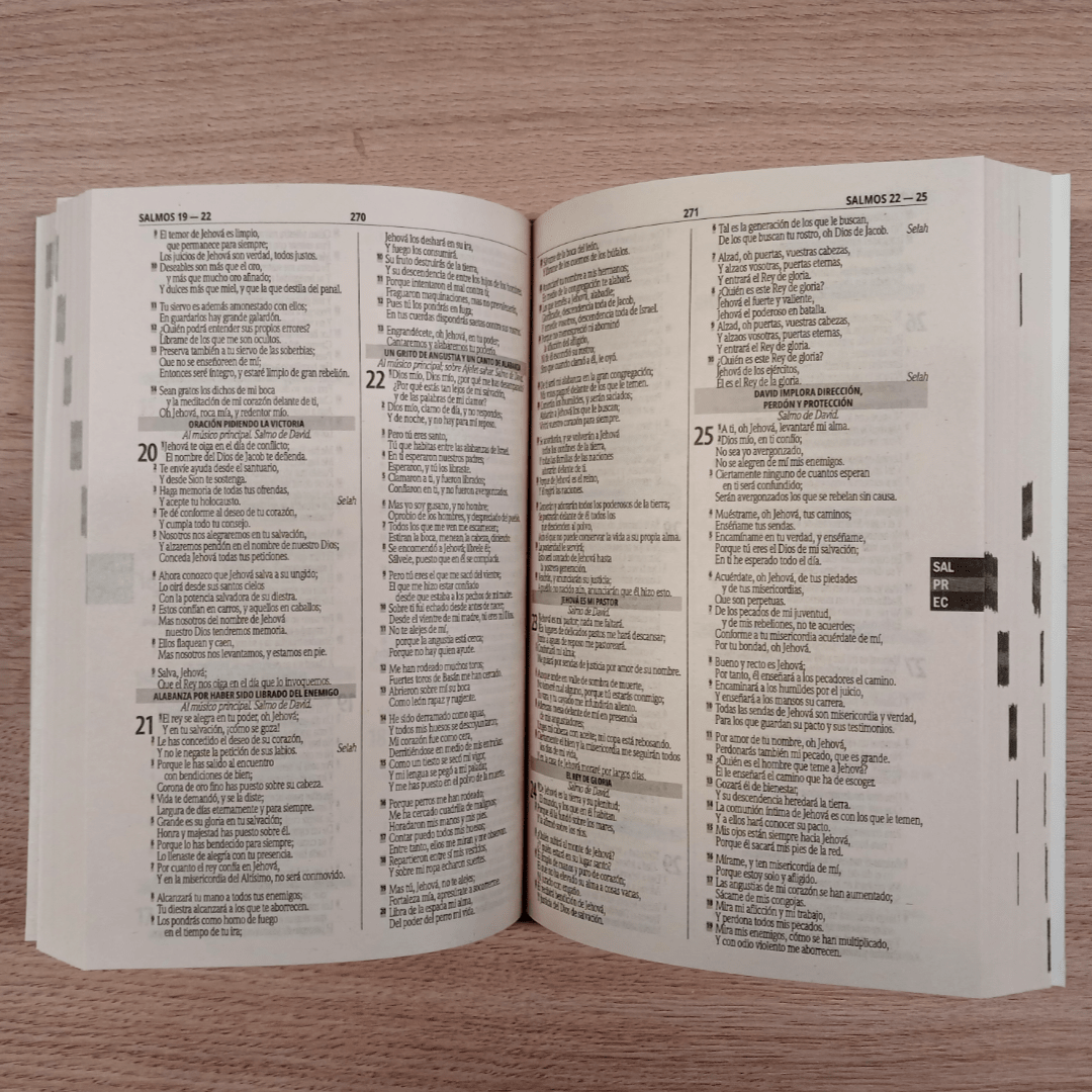 Biblia Reina Valera 1960 Misionera paloma rústica letra 9 puntos