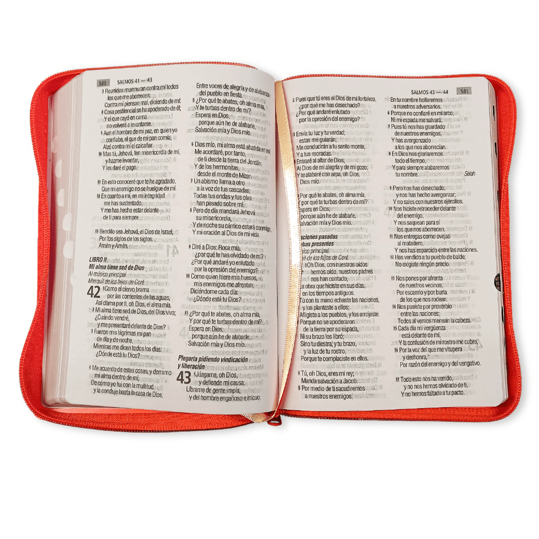 Biblia Reina Valera 1960 Letra 12p PJR cierre índice Covertex Naranja