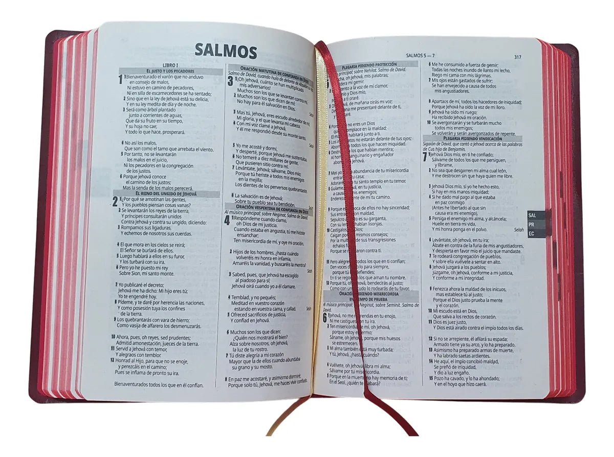 Biblia Reina Valera 1960 · Ultra Fina · Concordancia · Fuente de Bendición · Tapa flexible color vino