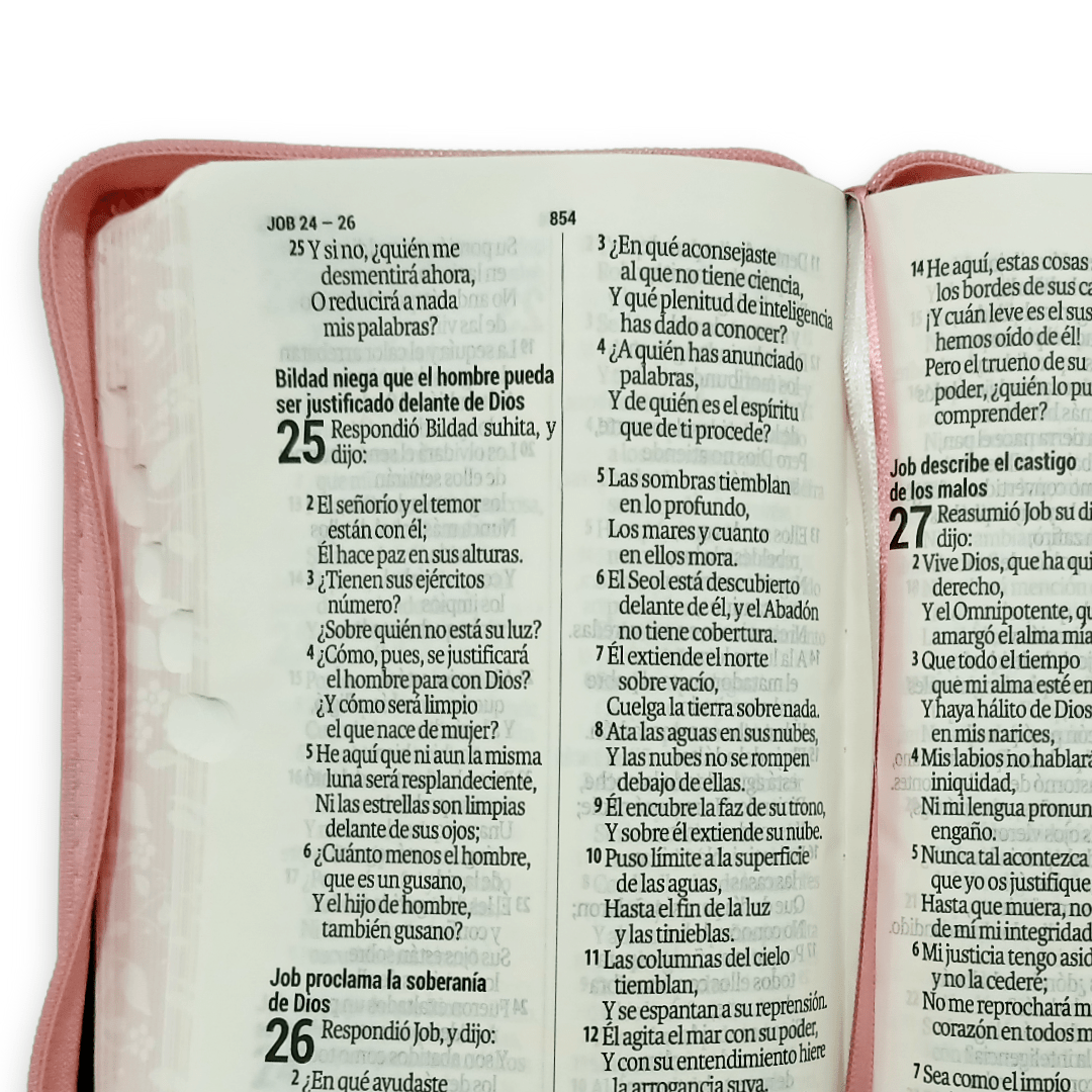 Biblia RVR 1960 Rosa/Marrón Quinceañera Tapa PU con Cierre, Índice, L 11pts
