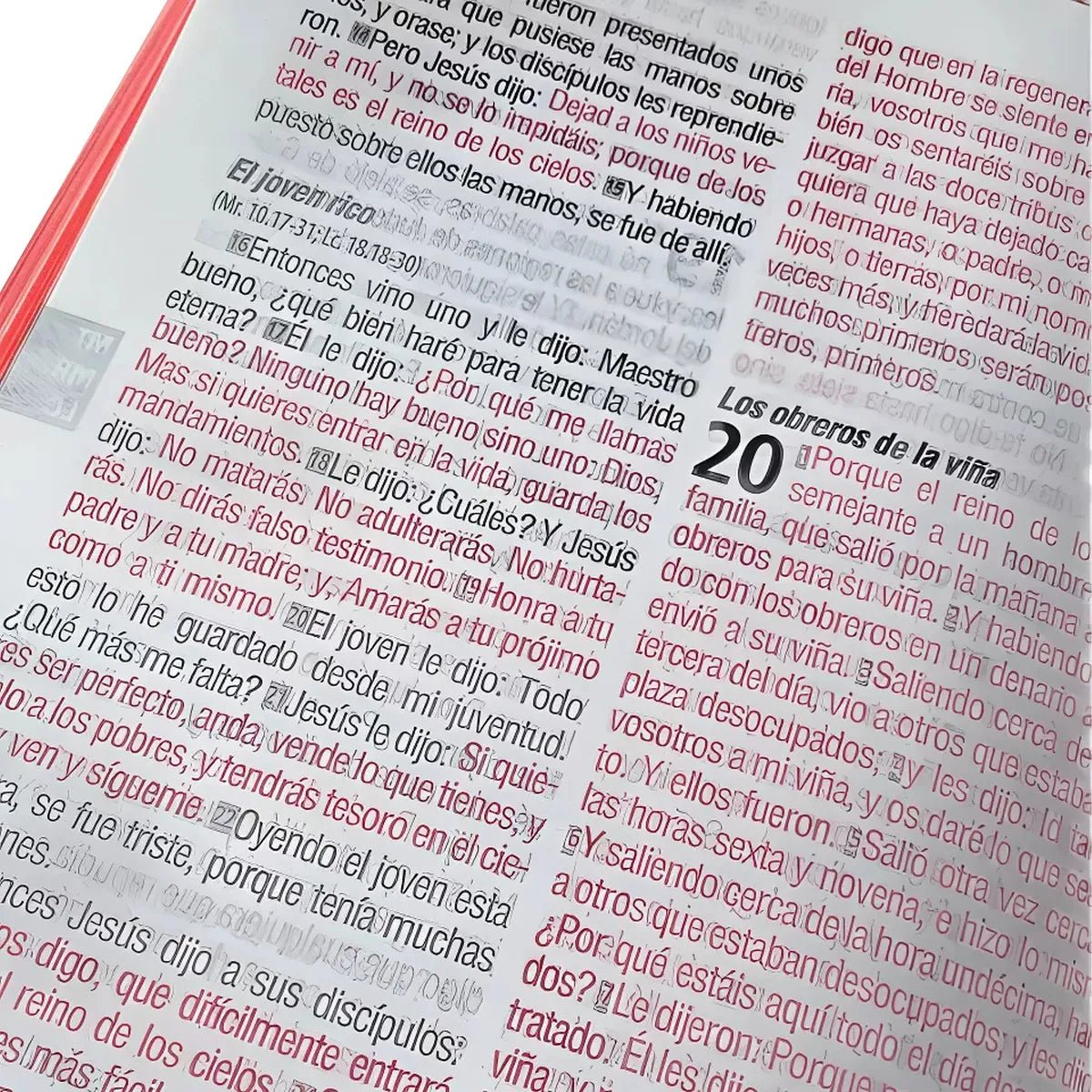 Biblia Reina Valera 1960 Letra Grande Cierre PJR Tapa Vinil Negro