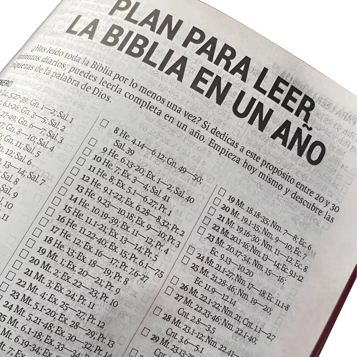 Biblia Reina Valera 1960 Letra Grande Cierre PJR Tapa Vinil Negro