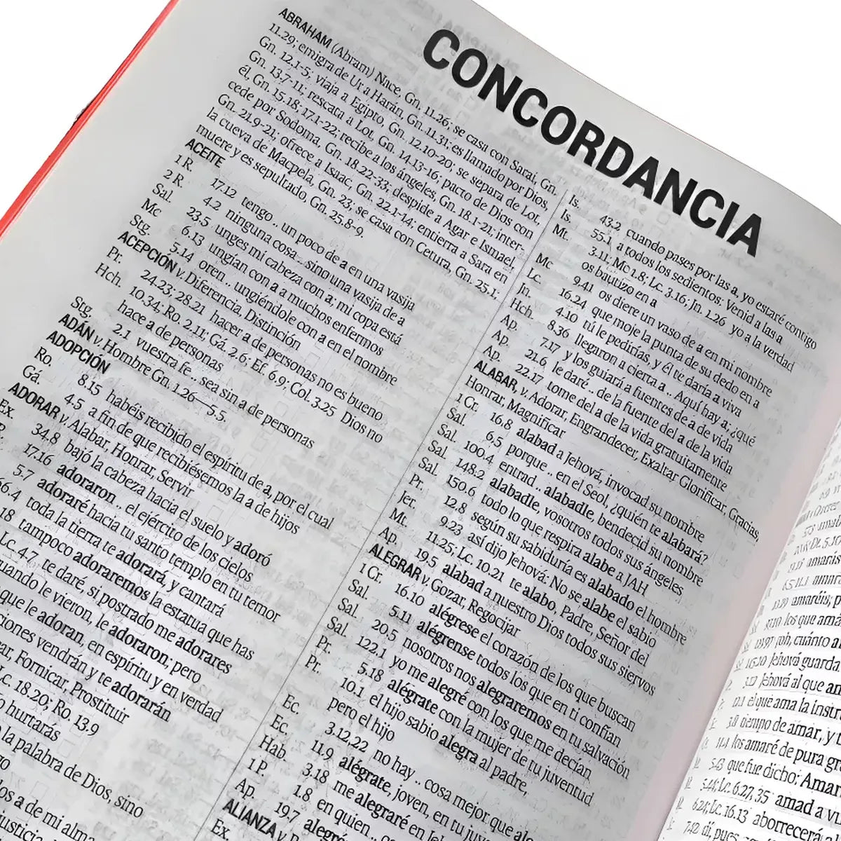 Biblia Reina Valera 1960 Letra Grande Cierre PJR Tapa Vinil Negro