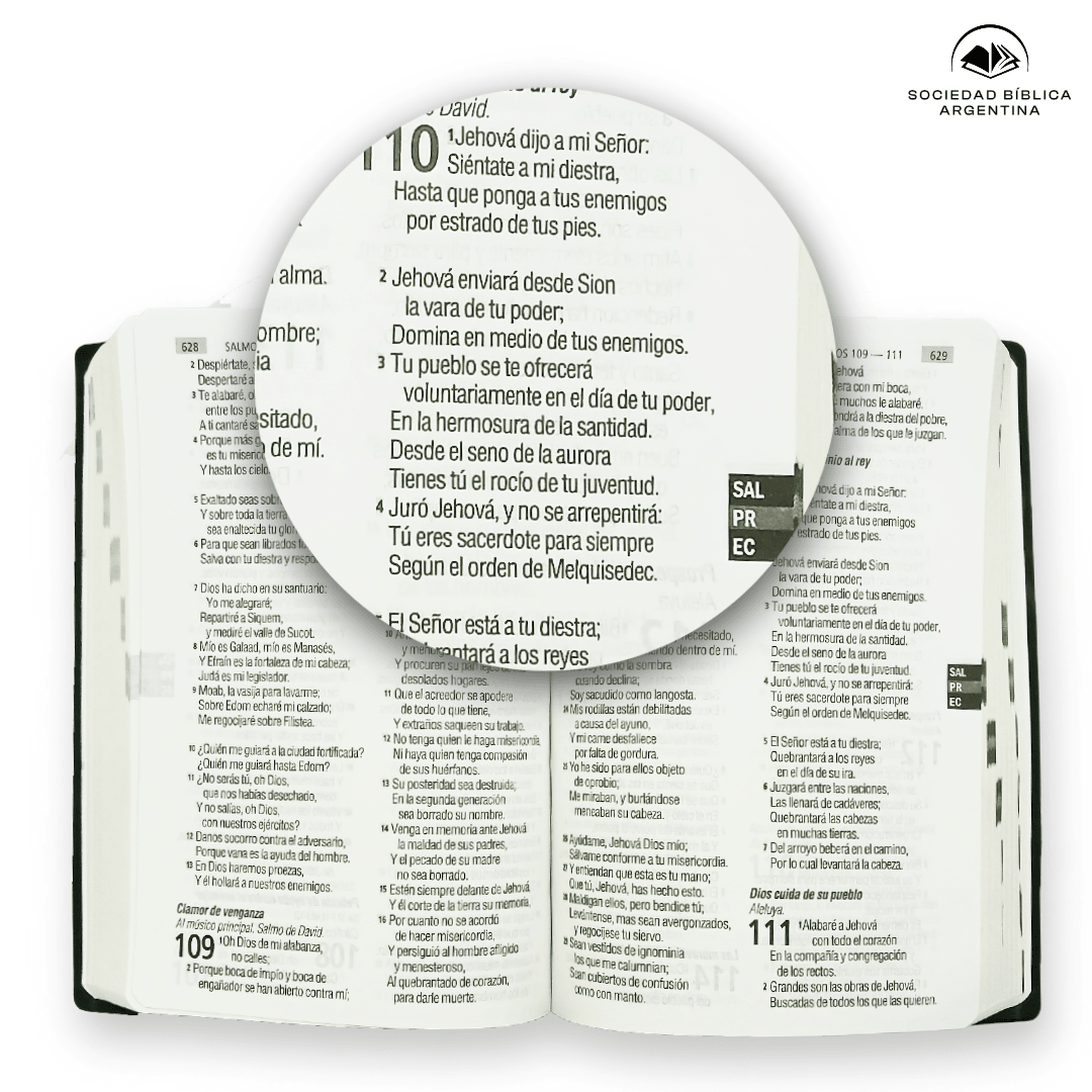 Biblia Reina Valera 1960 · Letra Grande · Económica · Palabras de Jesús en rojo · Tapa PVC azul