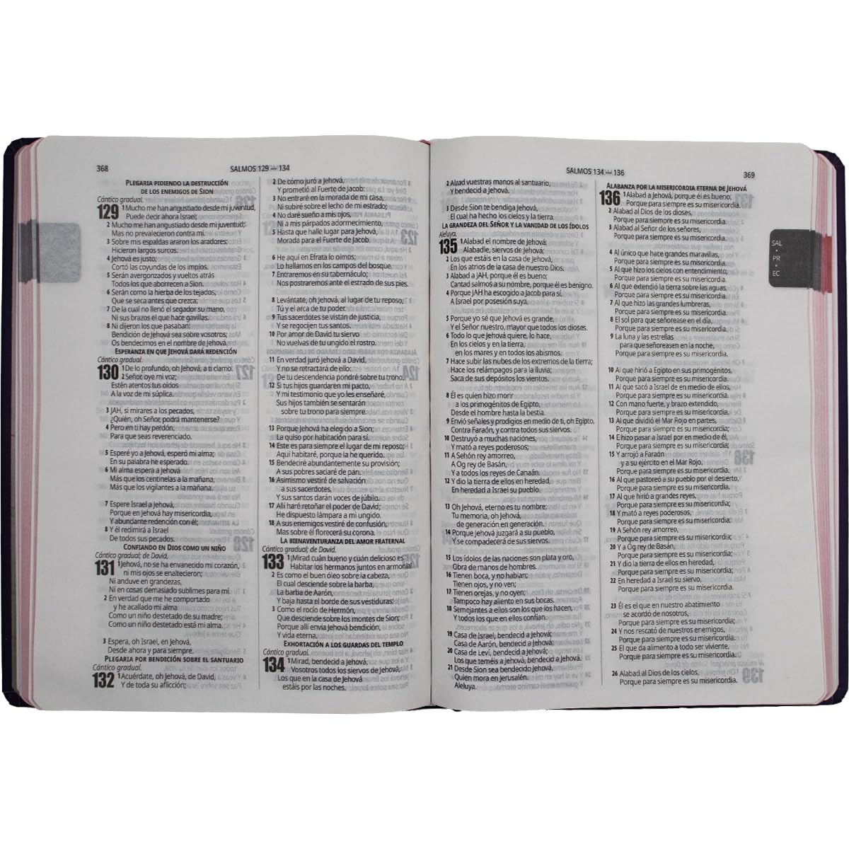 Biblia Reina Valera 1960 · 17x23,5 cm · Letra 10 pt · Fuente Bendición · Slim con margen · Canto rosa